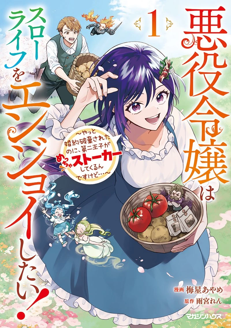 Akuyaku Reijou wa Slow Life o Enjoy Shitai!: Yatto Kon’yaku Hakisareta no ni, Daini Ouji ga Meccha Stalker Shitekurun desu kedo