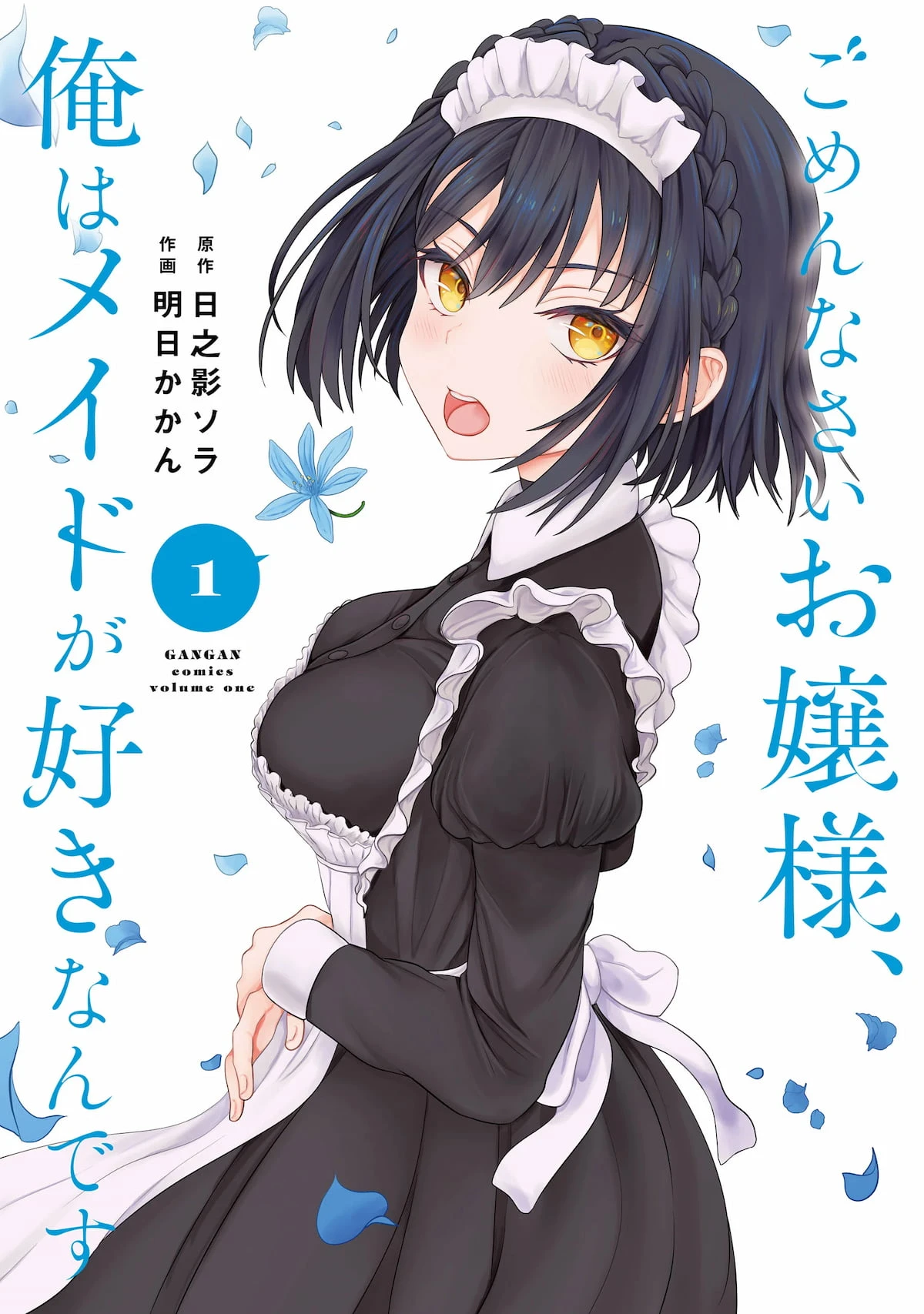 Gomennasai Ojou-sama, Ore wa Maid ga Suki nan desu