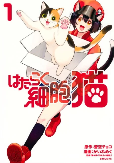 Hataraku Saibou Neko